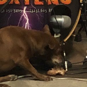 Meet your Posher, Edgat